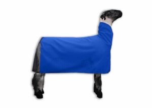 Cool Mesh Lamb Blanket - blue