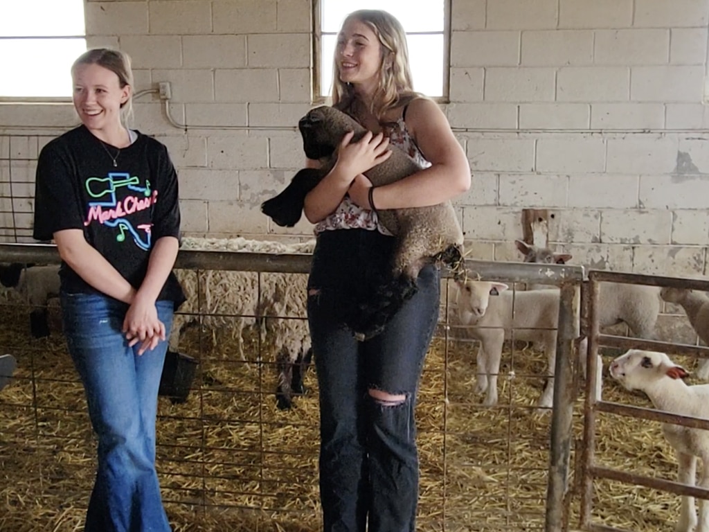 Girls with baby lambs