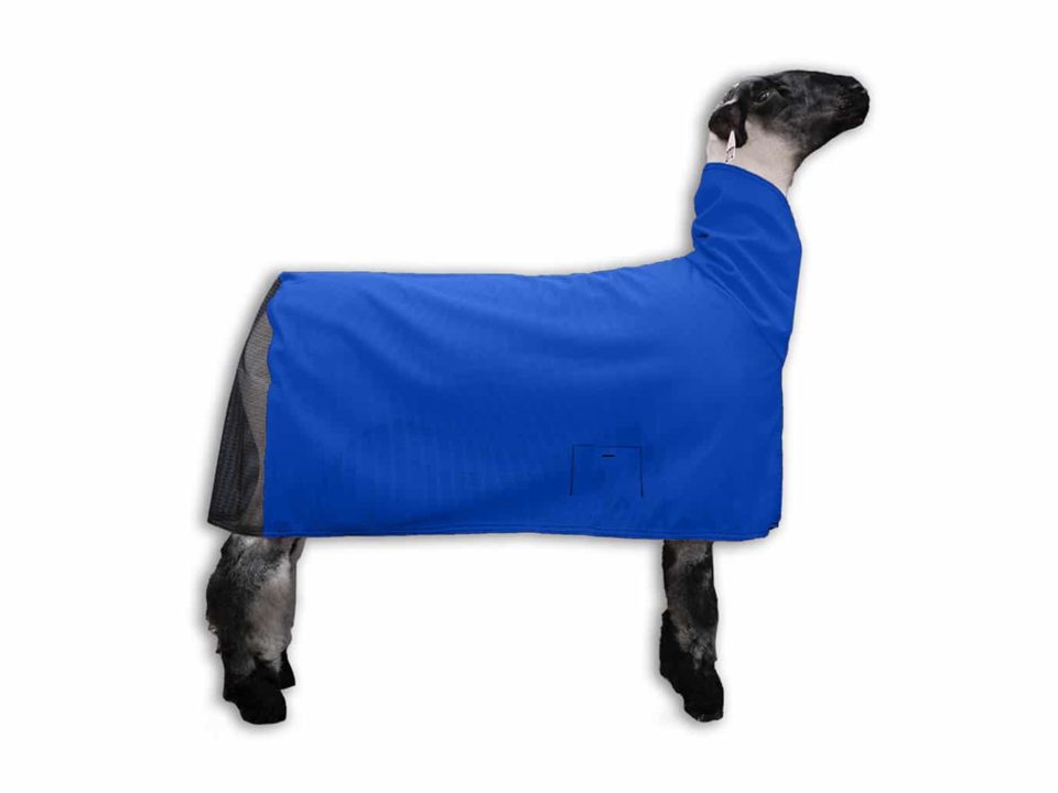Lamb in cool mesh tube