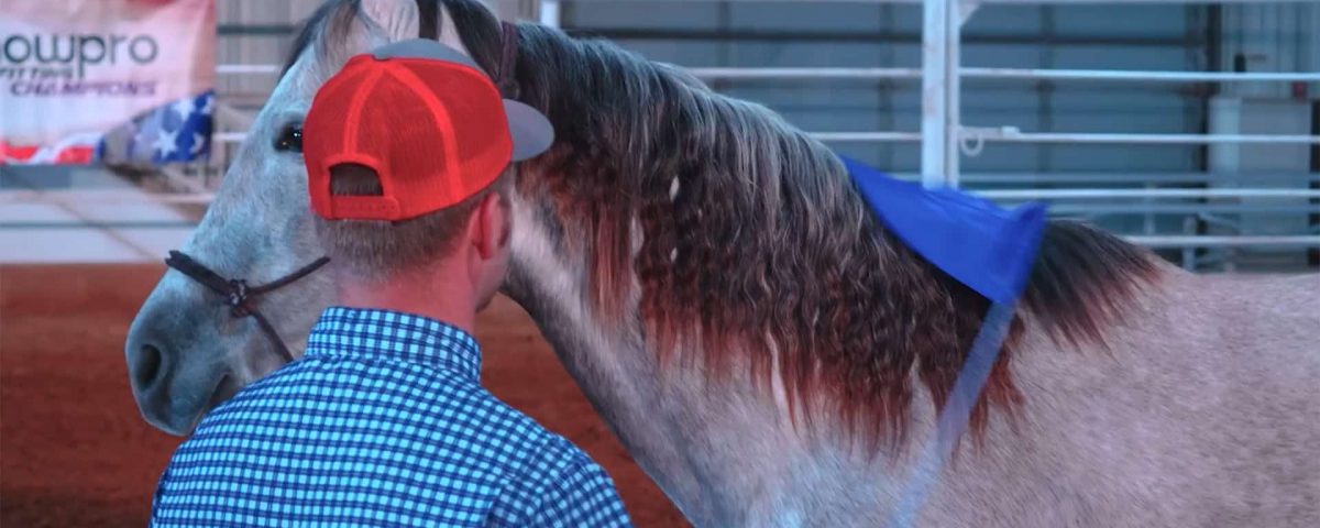 training-sliding-flag-whip-along-horse